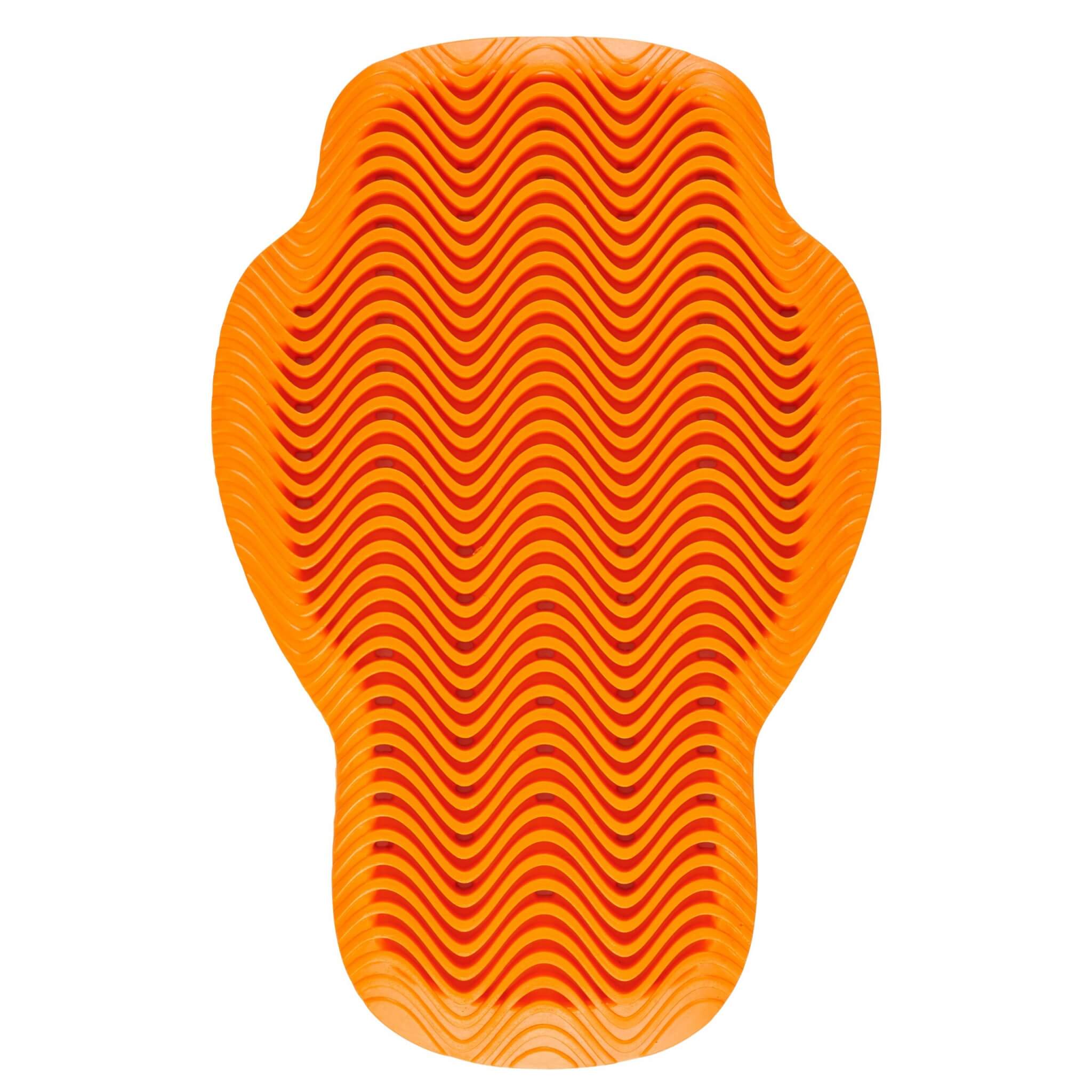 Protection dorsale moto